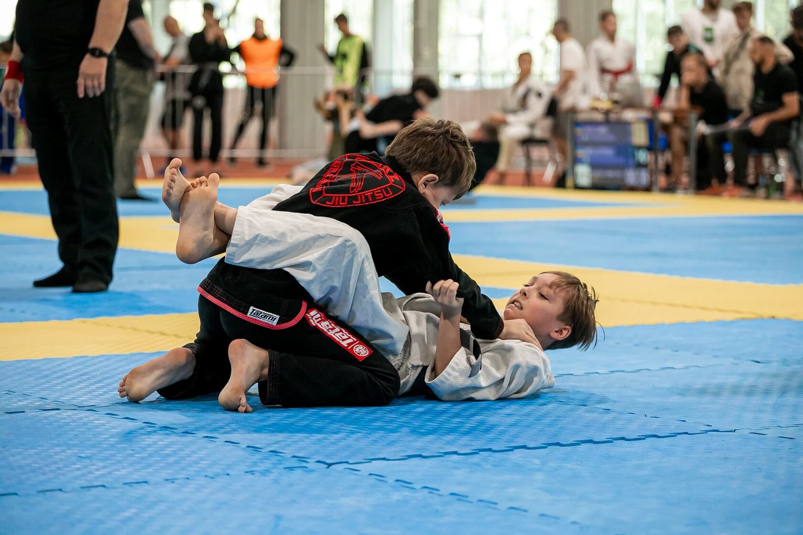 Фото_BJJ_4
